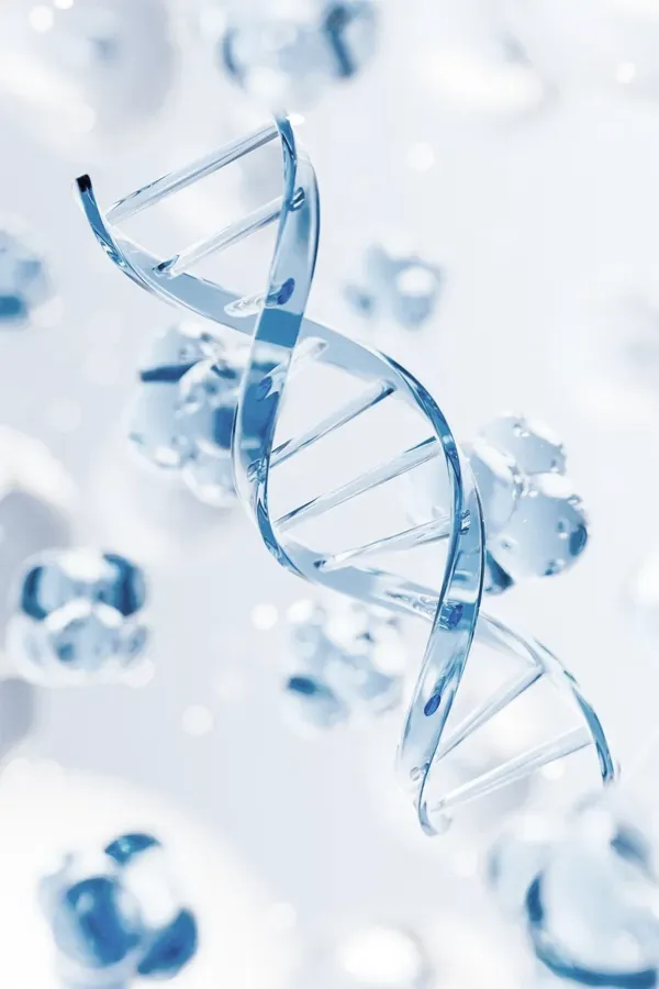 3D illustration of a youthful DNA spiral. Get Anti-Aging treatment from Yashoda Singh, MD in Hamilton-Toronto-Niagara.