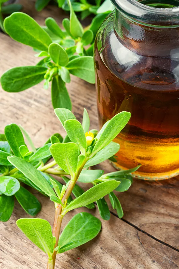 Healing herbs and oils on a wood table. Get Ayurvedic medicine treatment from Yashoda Singh, MD in Hamilton-Toronto-Niagara.