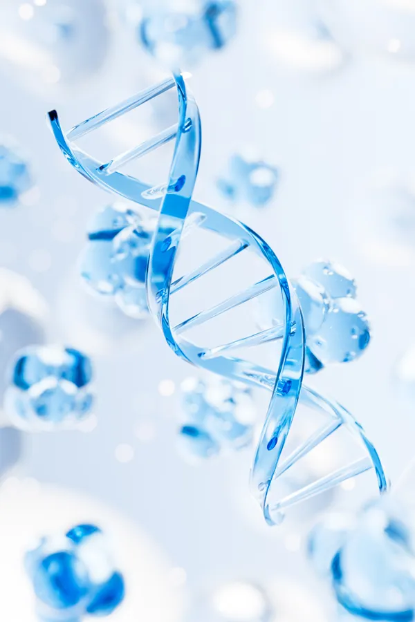 3D illustration of a DNA spiral. Get comprehensive health evaluations from Yashoda Singh, MD in Hamilton-Toronto-Niagara.